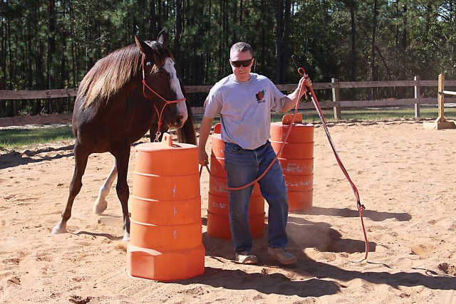 Communicating Equine