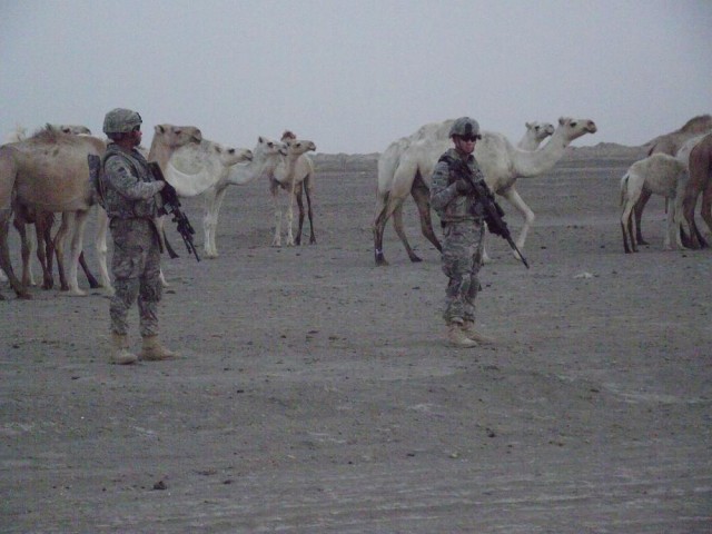Bedouins