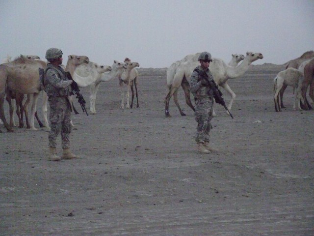 Bedouins 