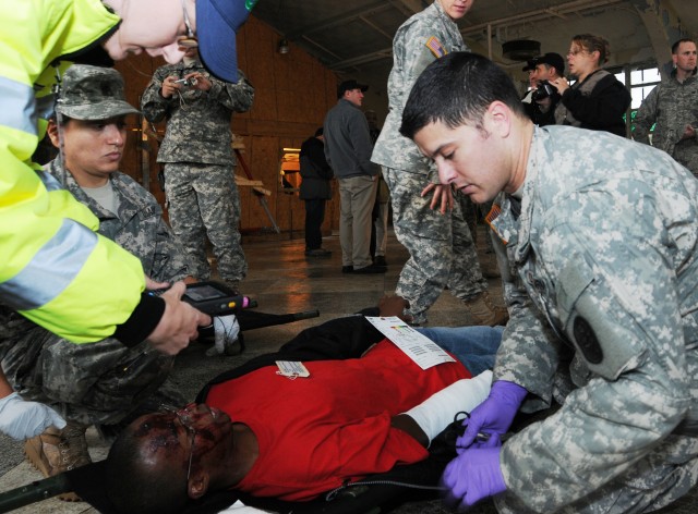 Capital Shield 2011: protecting the nationAca,!a,,cs capital