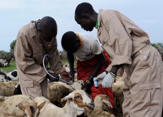 Veterinary Civic Action Programs and Community Health Care Workers Programs in Uganda prove successful