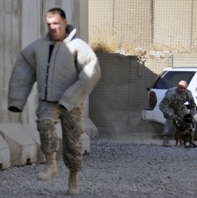 CONTINGENCY OPERATING SITE MAREZ, Iraq - Capt. Mark Hardy, assistant logistics officer for the 4th Advise and Assist Brigade, 1st Cavalry Division, takes a running start from Titan, a military police working dog from the 89th Military Police...
