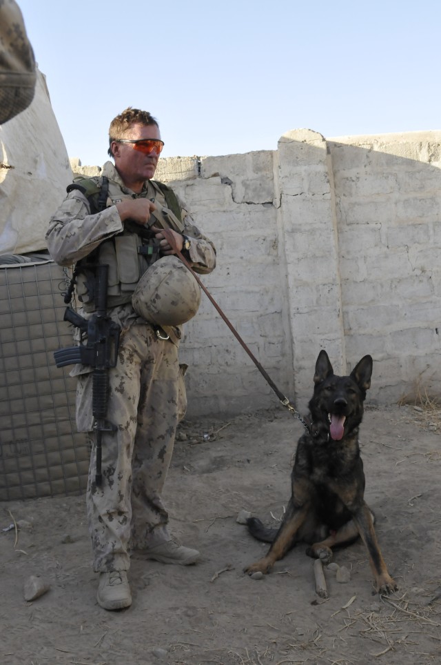 American K-9 Detection Services in Afghanistan 1