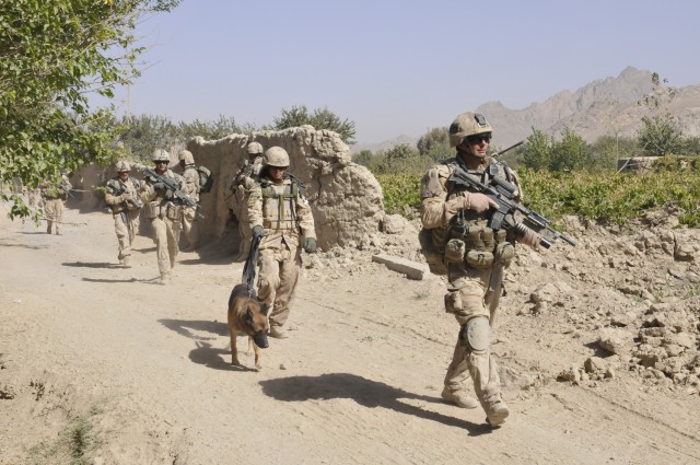 American K-9 Detection Services in Afghanistan 3