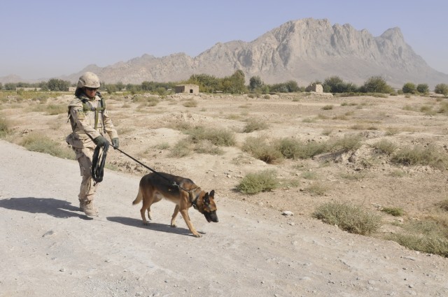 American K-9 Detection Services in Afghanistan