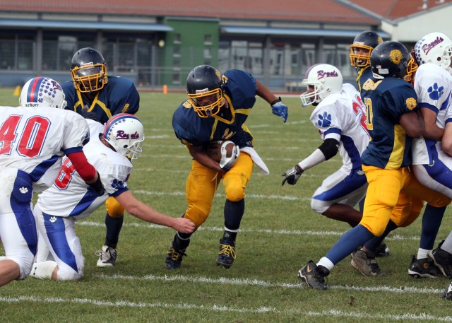 Heidelberg Lions and Mannheim Bison score seats to Super Six