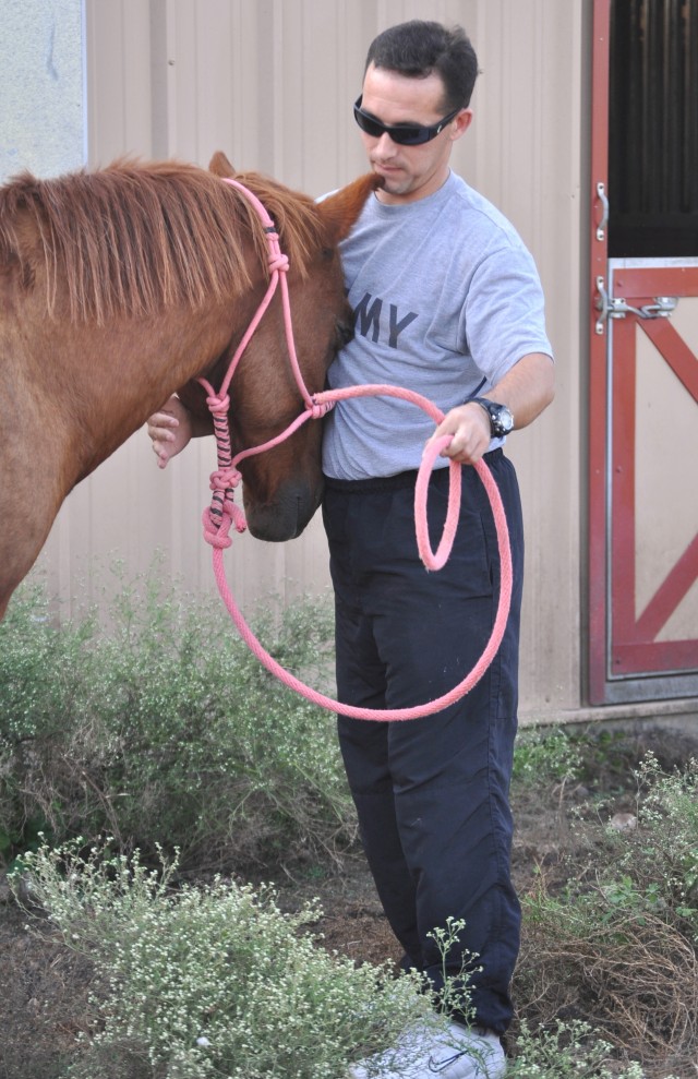 FSH Equestrian Center 1