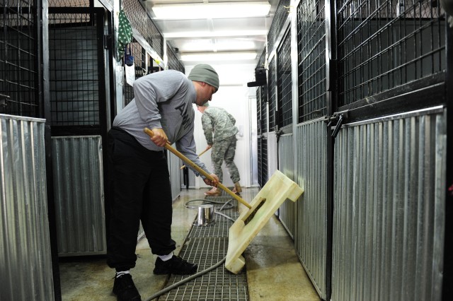 MWD highlight health and training on CBS