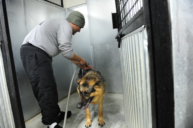 MWD highlight health and training on CBS