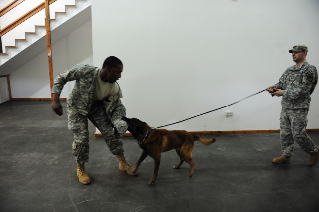 MWD highlight health and training on CBS