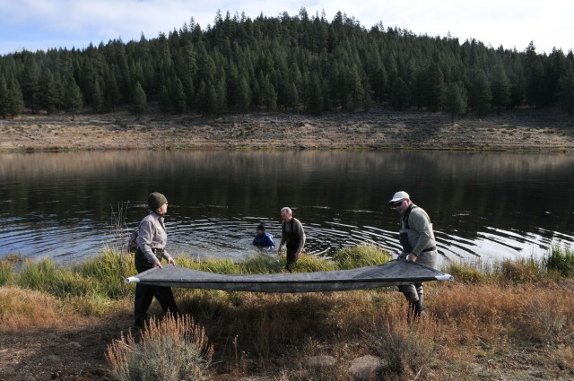 Eradicating milfoil at Martis Creek Lake