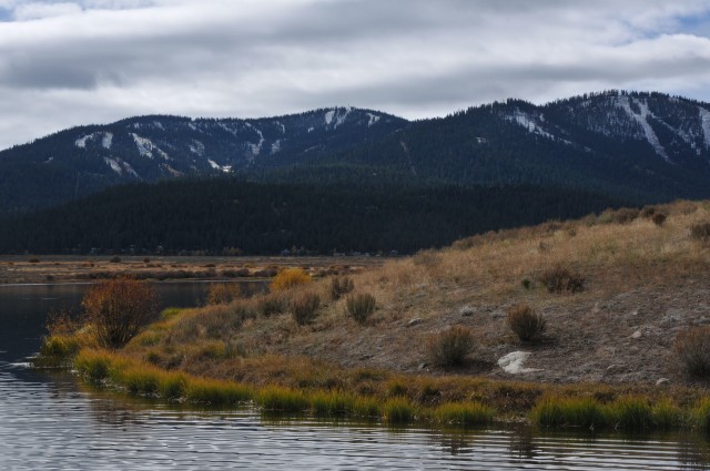 Eradicating milfoil at Martis Creek Lake