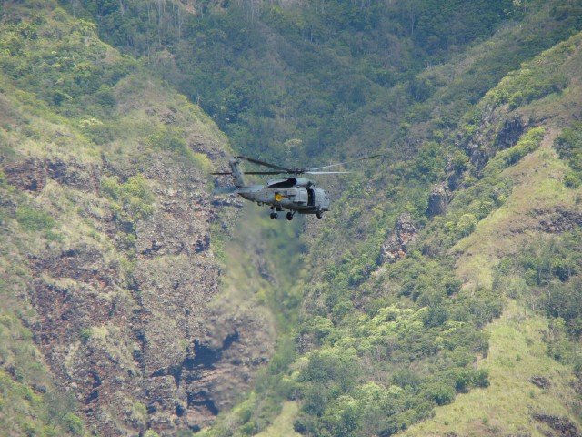 Hawaii District Court rules on Makua Military Reservation