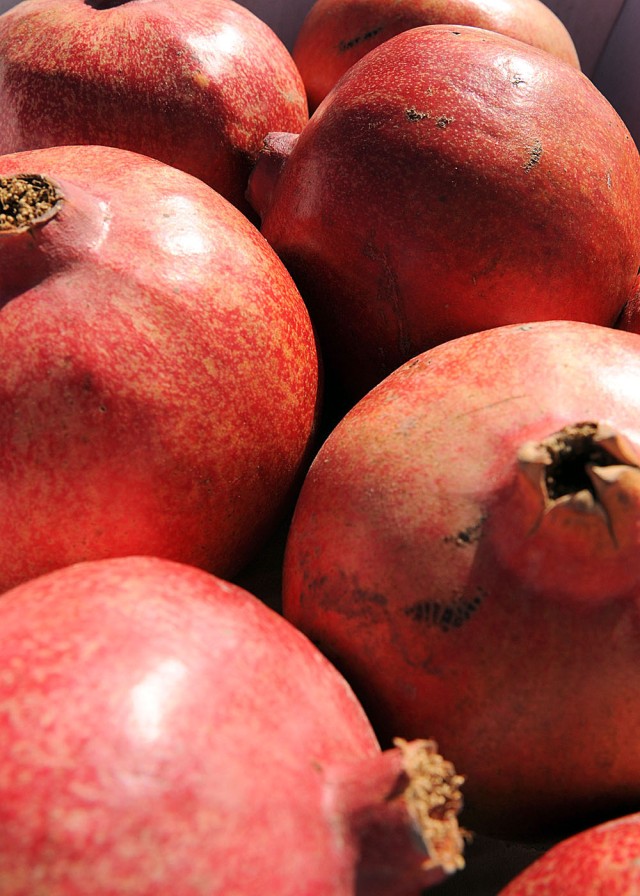 Kandahar farmers thrive as pomegranates export to international market