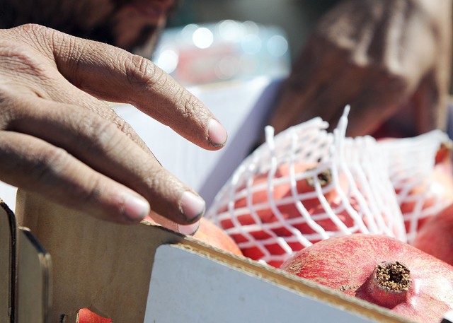 Kandahar farmers thrive as pomegranates export to international market