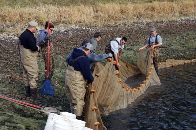 Fort McCoy Fisheries Program supports Wisconsin DNR efforts to restock Lake Tomah
