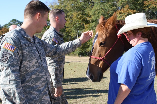 Horses help heroes in healing
