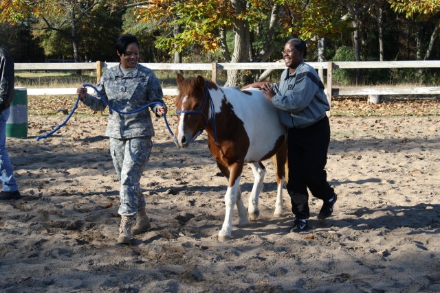 Horses help heroes in healing