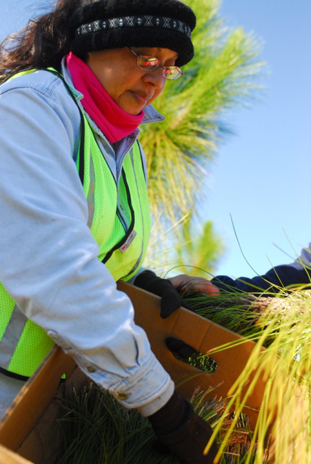 Harvest 2