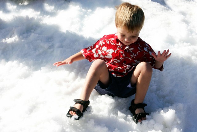 Holiday crowd enjoys snow at AMR