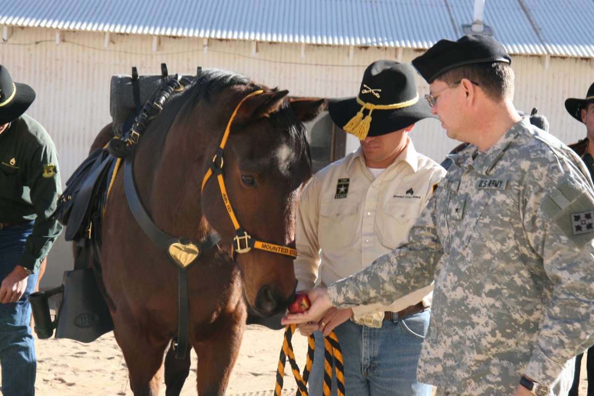 Mounted color guard marks 45 years | Article | The United States Army