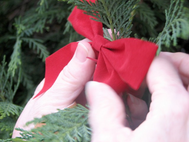 Fort McPherson honors Georgia&#039;s fallen in Soldier Tree ceremony