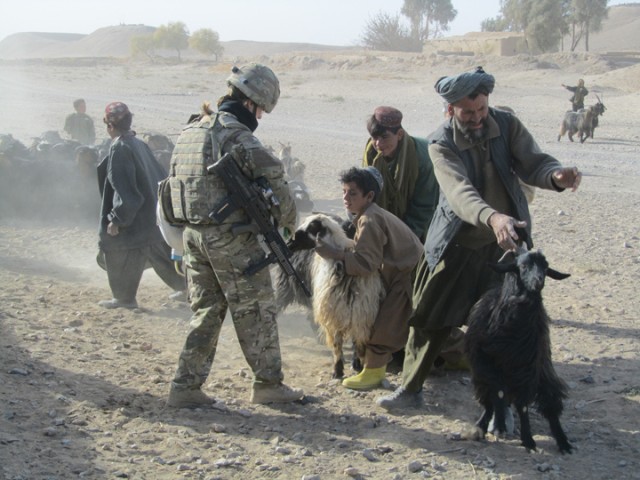 Making progress in Afghanistan