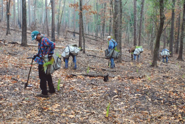 Tree planters