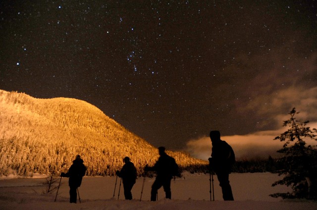 Snowshoe
