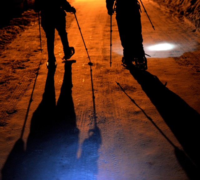 Snowshoe 2