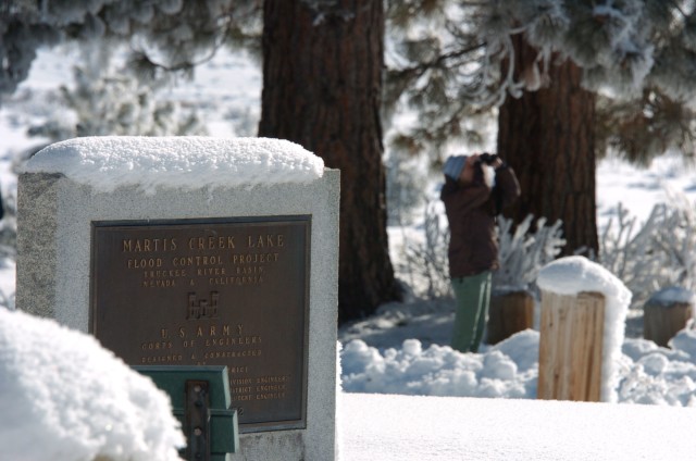 Eagle Survey at Martis