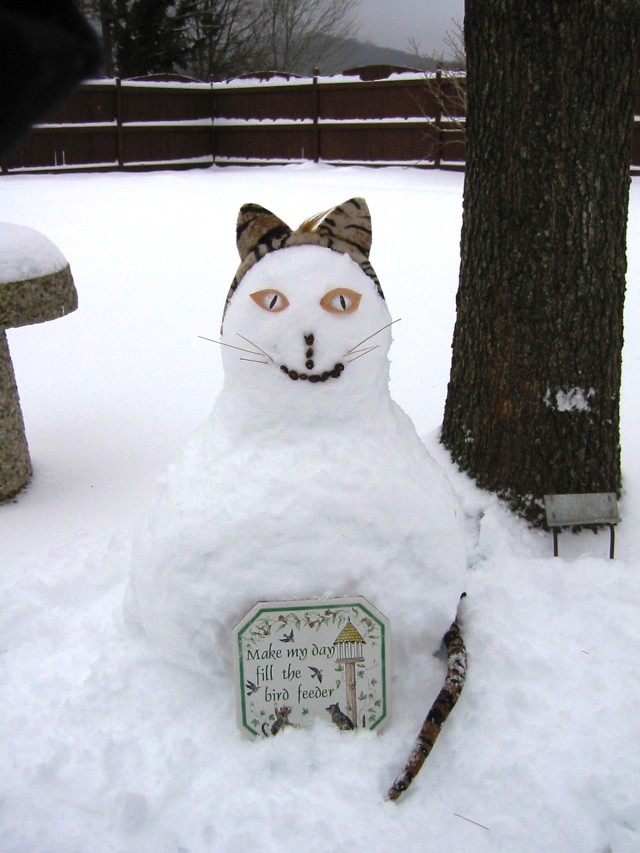 Winter Woes