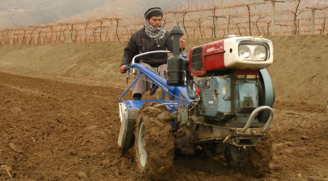 Afghan farmer using two-wheeled tractor