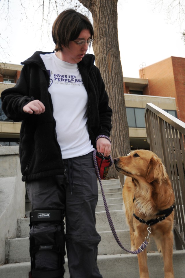 &#039;Paws for Purple Hearts&#039; helping with PTSD