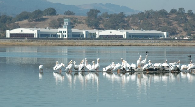 Hamilton Wetlands