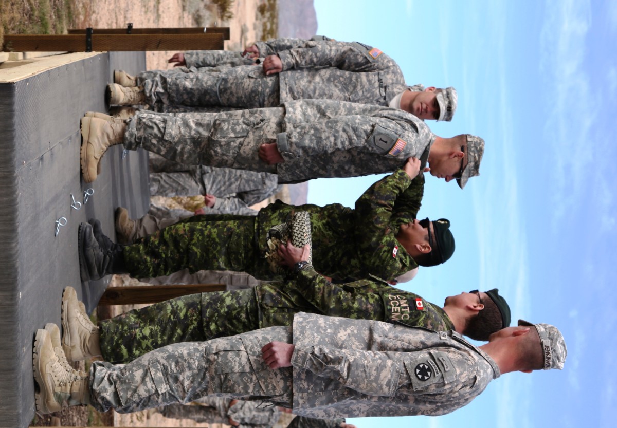 Canadian, US Paratroopers train together, exchange jump wings | Article ...