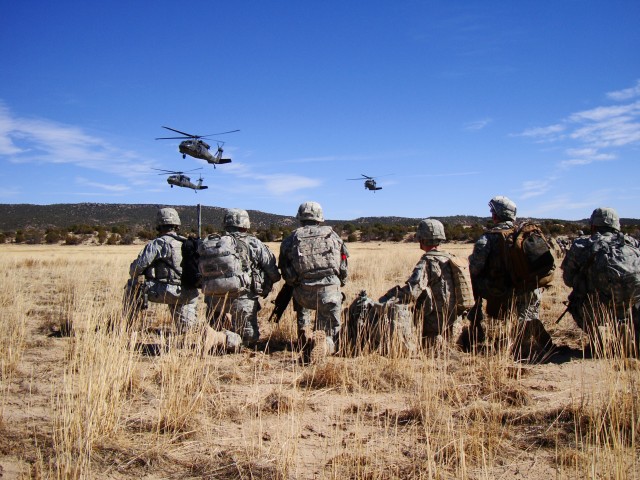 1st Cav., 1-12 team up for training