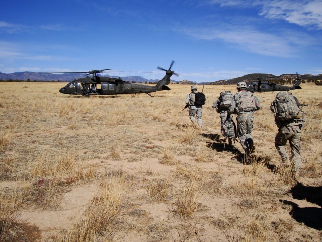 1st Cav., 1-12 team up for training
