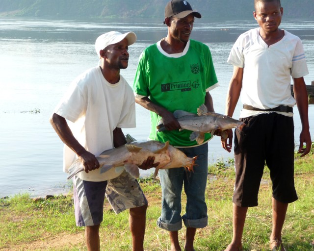 Exercise Kwanza review builds for future in Kinshasa