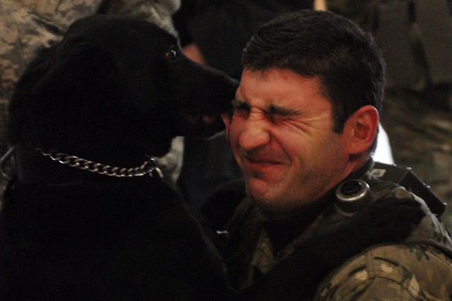 Working dog teams bring new resource to Georgian troops
