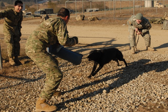 Working dog teams bring new resource to Georgian troops