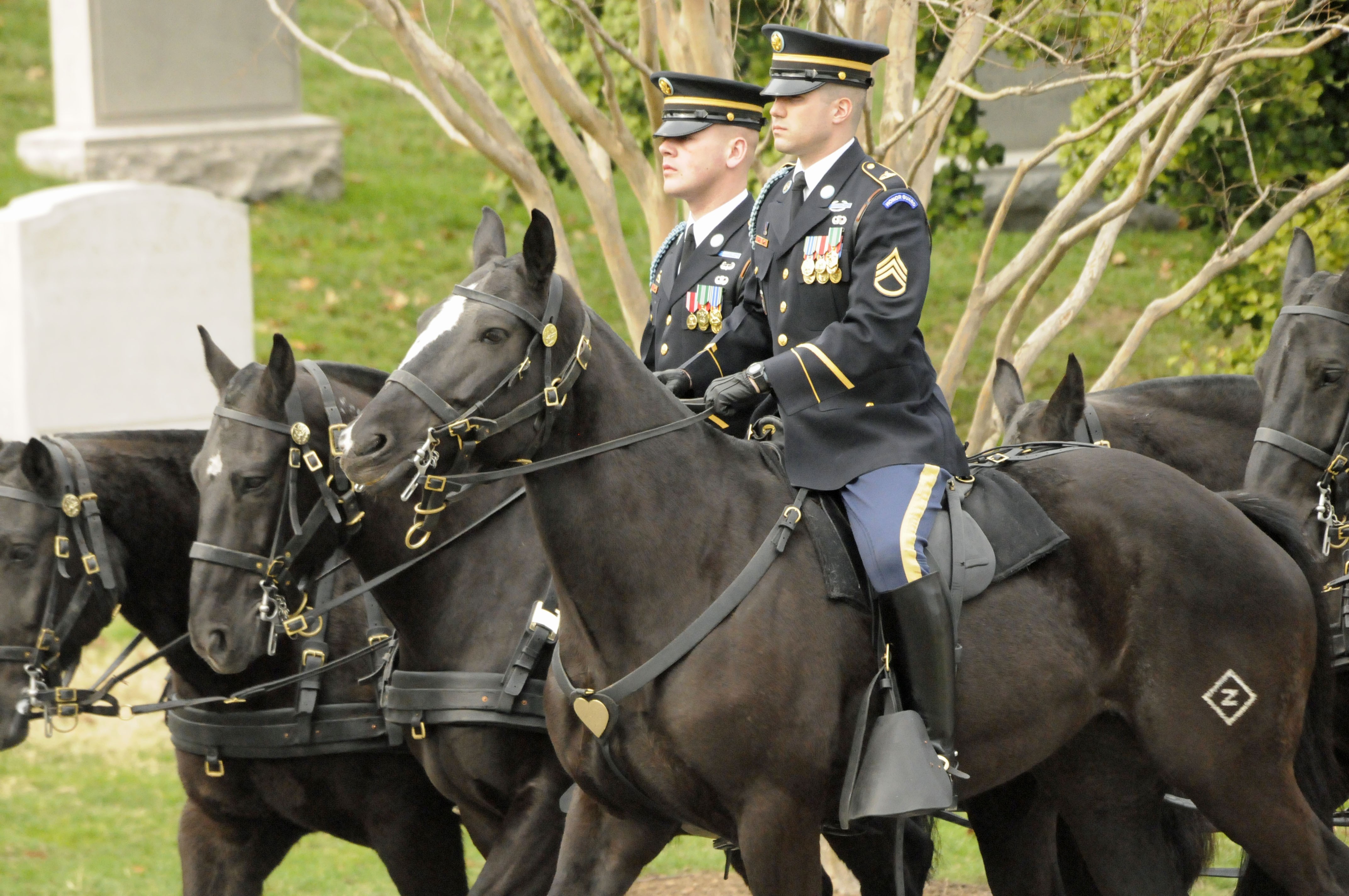 The Old Guard conducts memorial ceremony for last surviving American ...