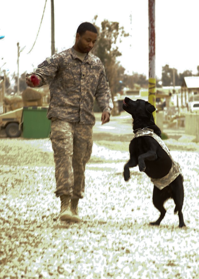 Spc. Lawrence Shipman, a patient administrative specialist and Sgt. 1st Class Jonathan Zeke, a combat stress-relief dog, play catch outside the Contingency Operating Site Marez Combat Stress Control clinic, March 8. Shipman and Zeke, assigned to 85th...