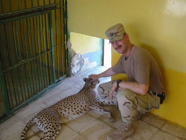 Checking on the cheetah