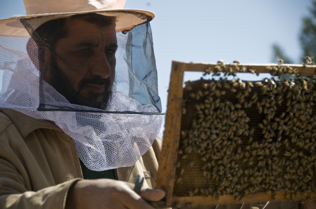 Zabul farmers to harvest livelihood from National Guard ADT