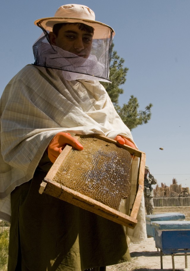 Zabul farmers to harvest livelihood from National Guard ADT