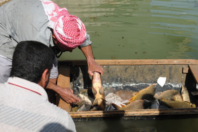 U.S., Iraq combine efforts on aquacultural wetlands project