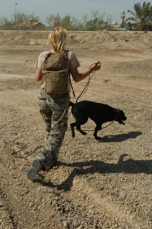 Dogs play vital role in search missions