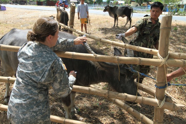 Keeping the livestock healthy