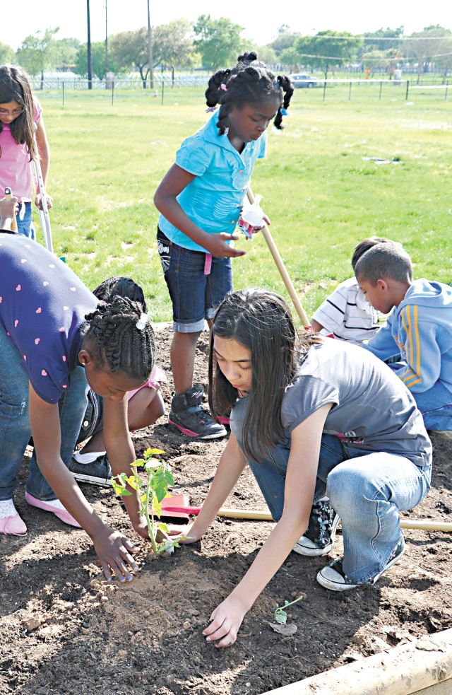Youth Gardening Program 3